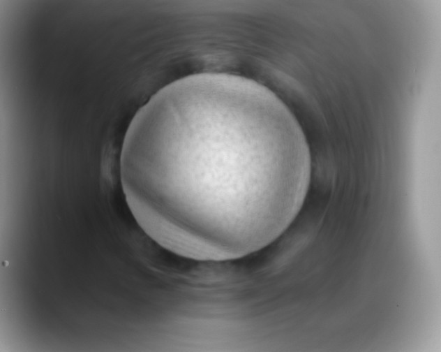 X0000089861346200707191913