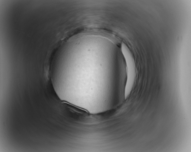 X0000089861348200707191913