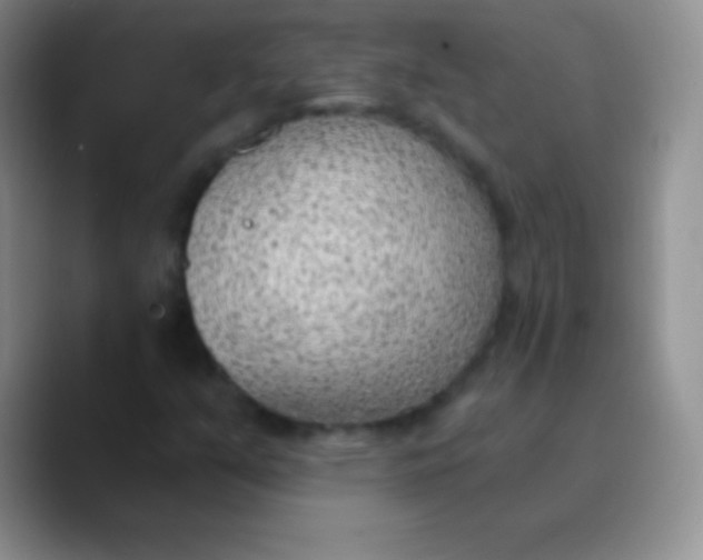 X0000089861351200707191913