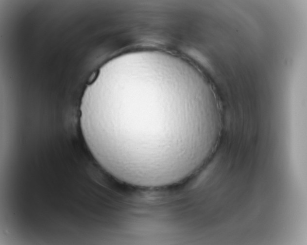 X0000089861355200707191913