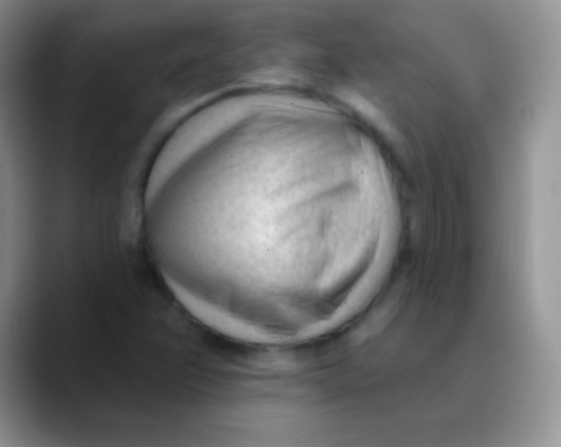 X0000089861358200707191913