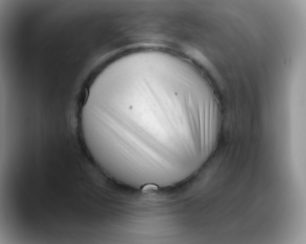 X0000089861360200707191913