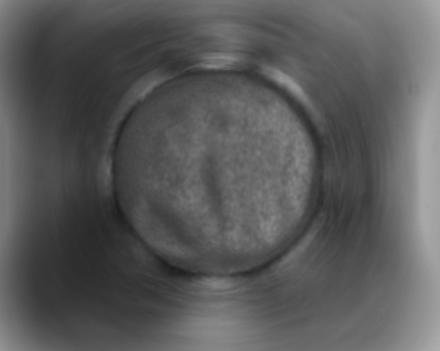 X0000089861362200707191913