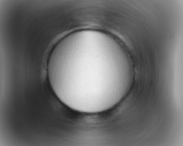 X0000089861363200707191913