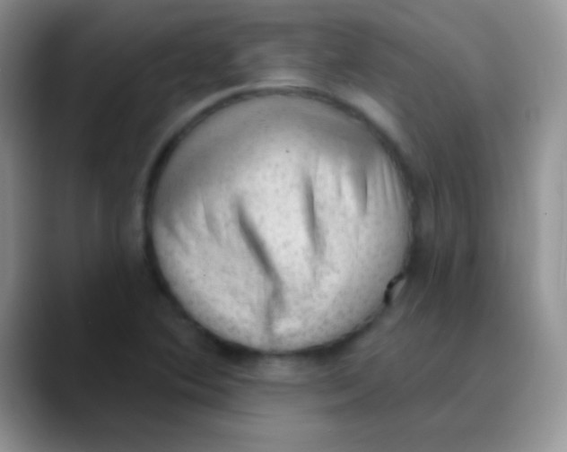 X0000089861364200707191913