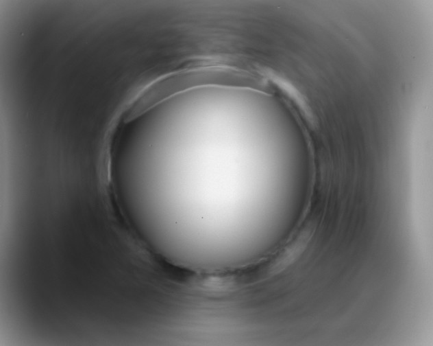 X0000089861365200707191913