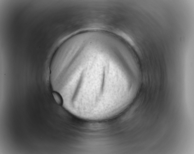 X0000089861366200707191913