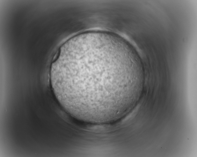 X0000089861367200707191913