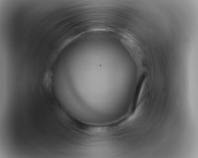 X0000089861369200707191913