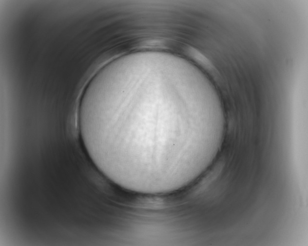 X0000089861370200707191913