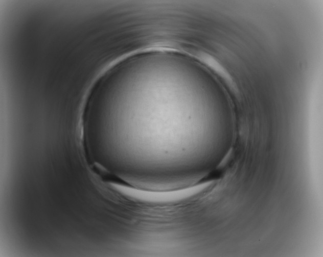 X0000089861372200707191913