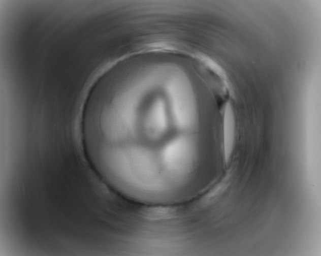 X0000089861373200707191913