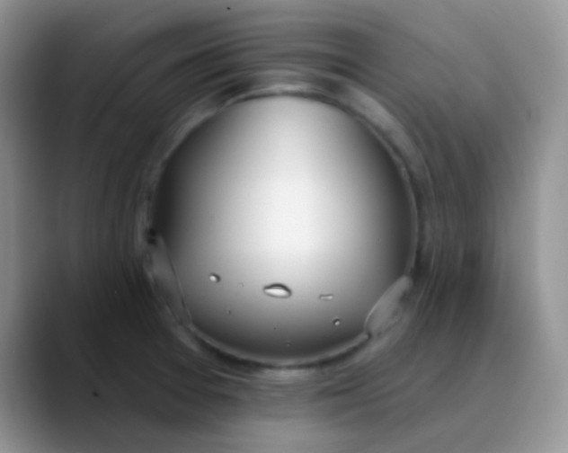 X0000089861377200707191913