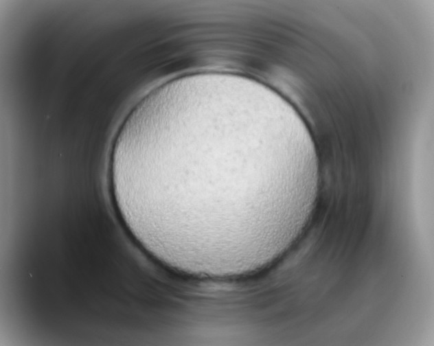 X0000089861379200707191913