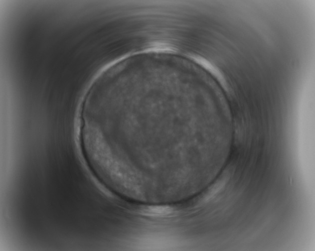 X0000089861383200707191912