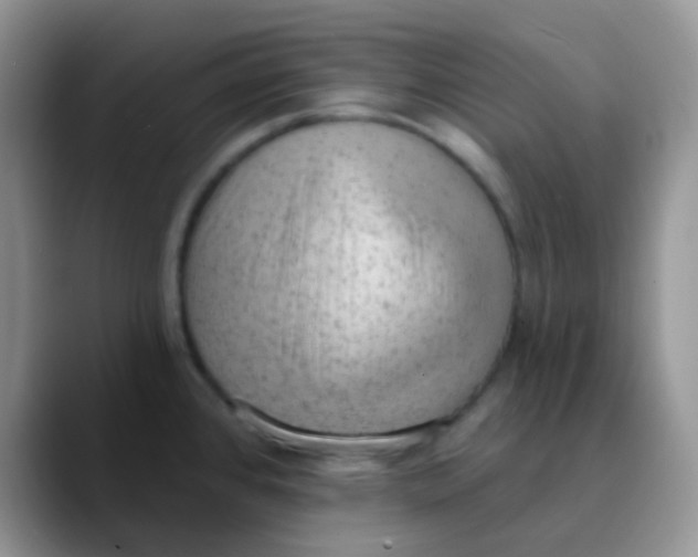 X0000089861384200707191912