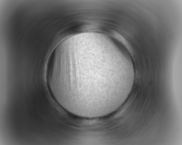 X0000089861386200707191912