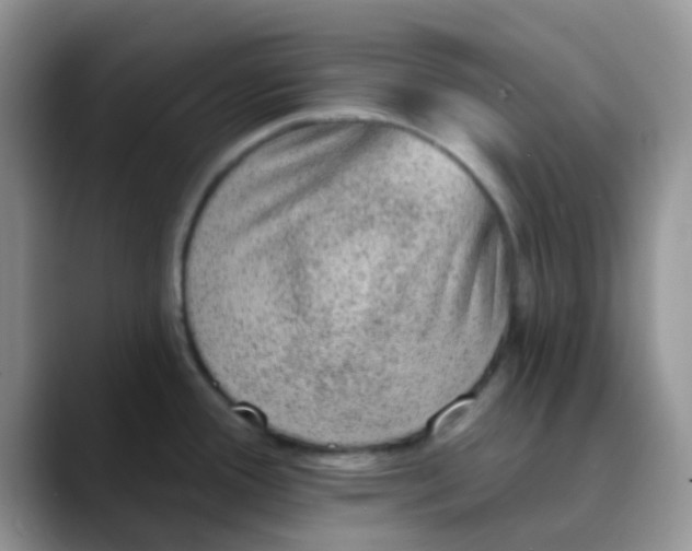 X0000089861388200707191912