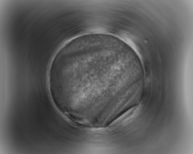 X0000089861389200707191912