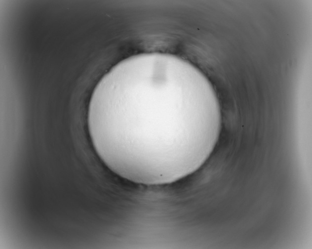 X0000089861393200707191912