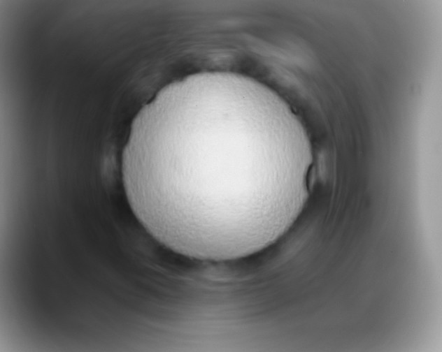 X0000089861395200707191912