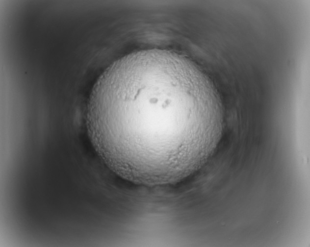 X0000089861397200707191912