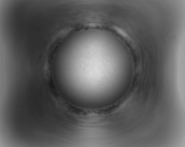 X0000089861398200707191912