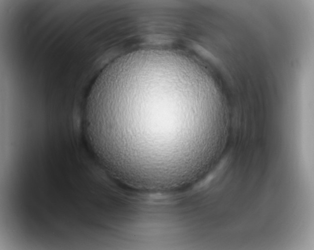 X0000089861401200707191912