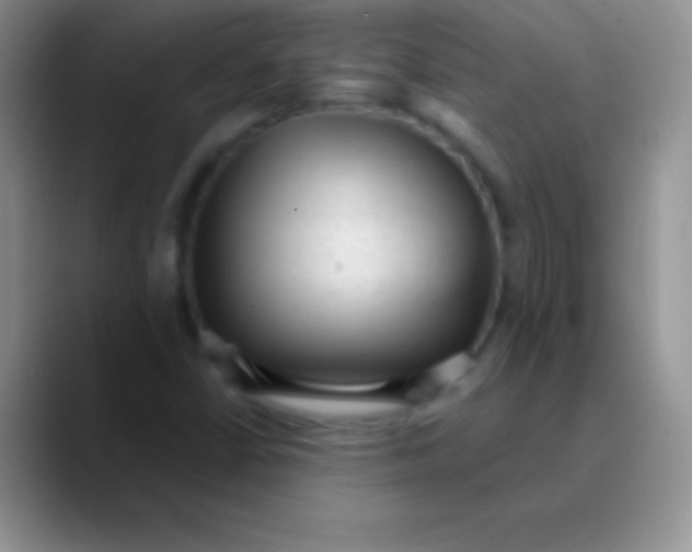 X0000089861402200707191912