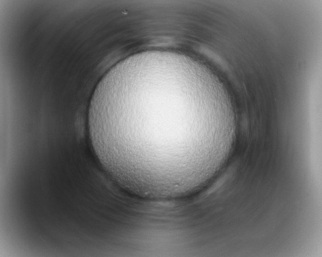 X0000089861409200707191912