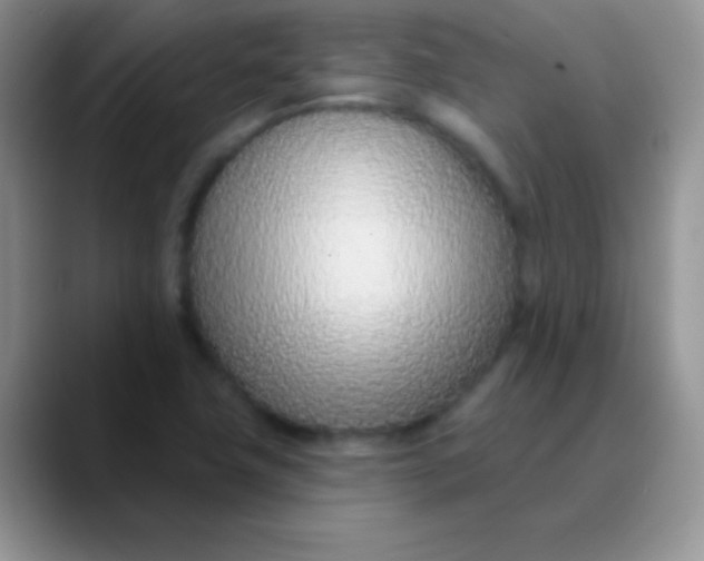 X0000089861411200707191912