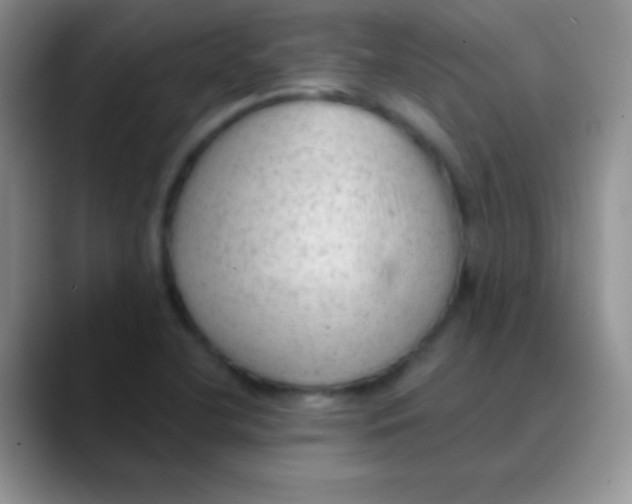 X0000089861412200707191912