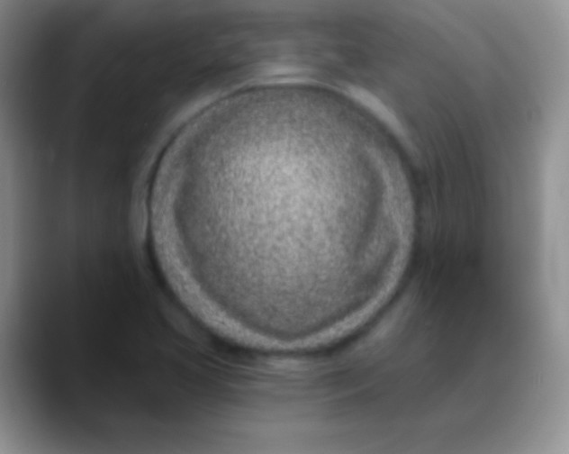 X0000089861413200707191912