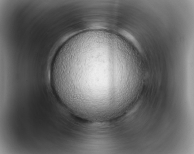 X0000089861419200707191912