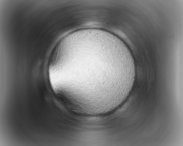 X0000089861421200707191912