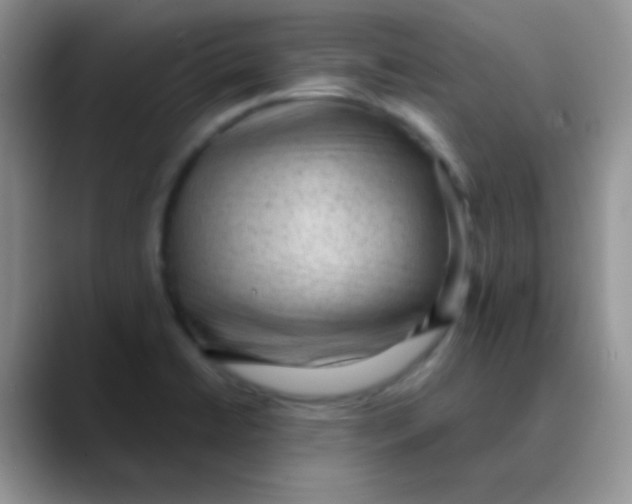 X0000089861422200707191912