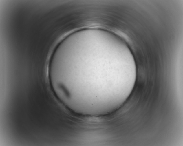 X0000089861424200707191912