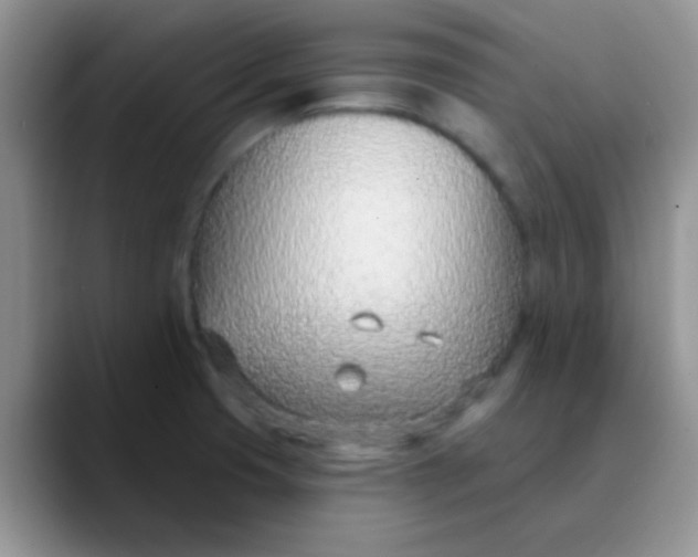 X0000089861425200707191912