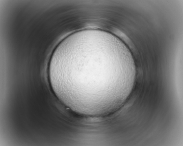 X0000089861427200707191912