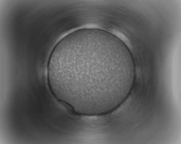 X0000089861428200707191912