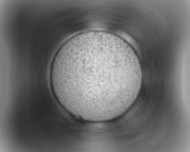 X0000089861431200707191912