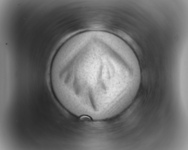 X0000089861432200707191912