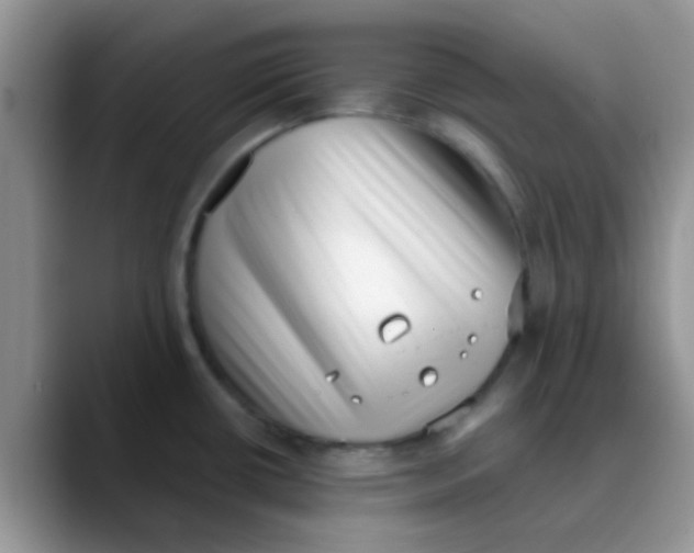 X0000089861434200707191912