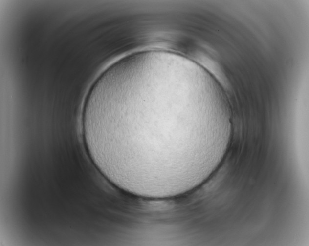 X0000089861436200707191912