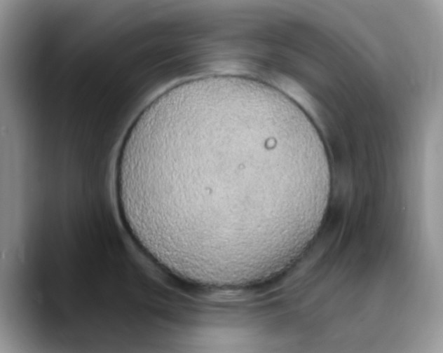 X0000089861439200707191912