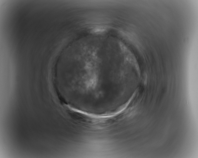 X0000089861441200707191912