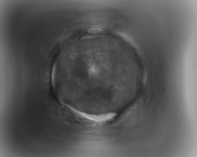 X0000089861445200707191912