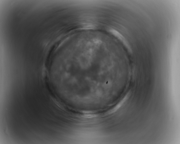 X0000089861449200707191912