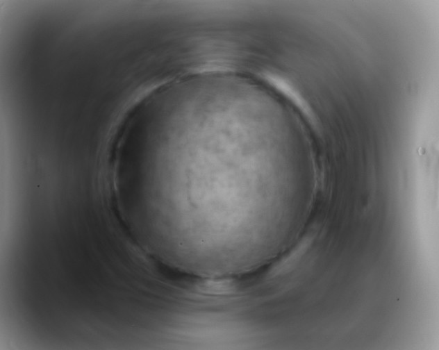 X0000089861453200707191912