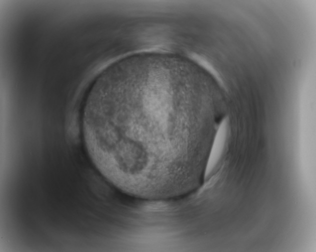 X0000089861455200707191912